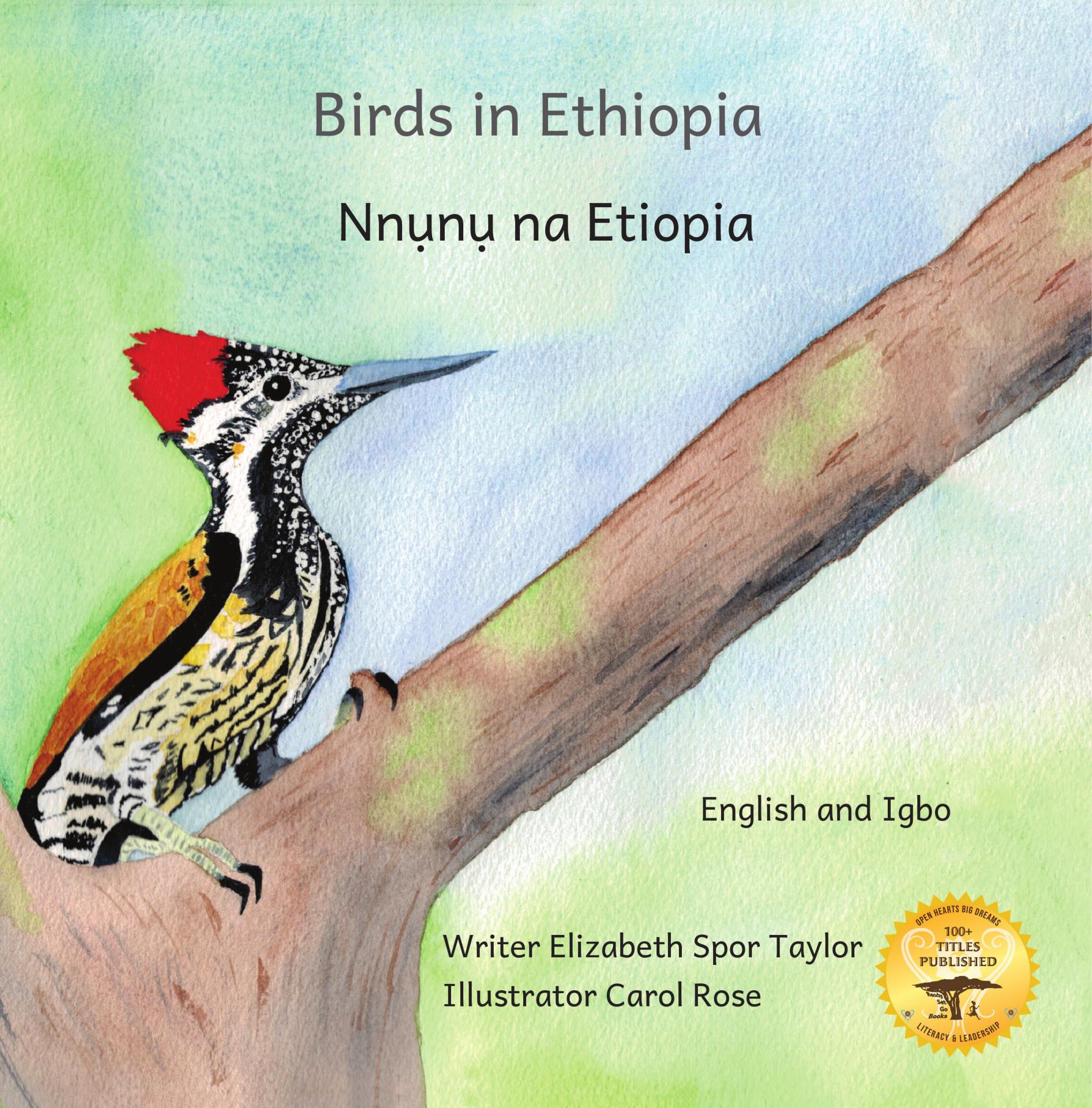 Birds in Ethiopia