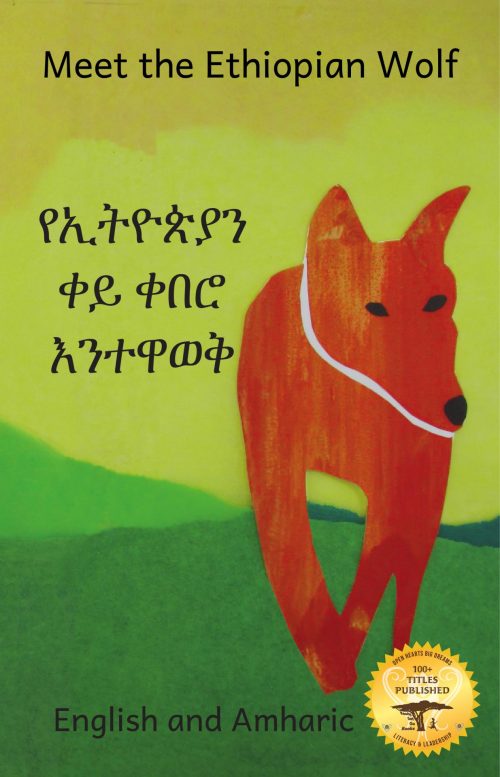 Meet The Ethiopian Wolf