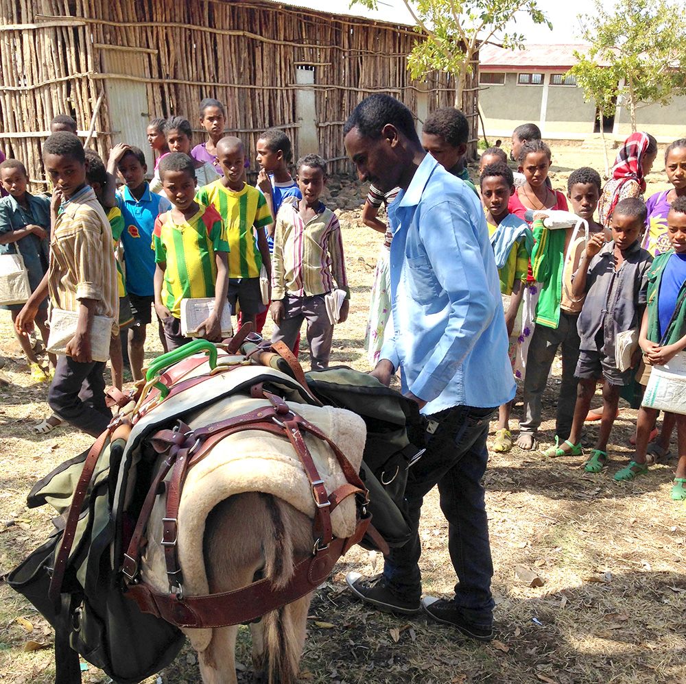 OHBD Donkey Library and kids